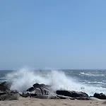 Da Mata Póvoa de Varzim