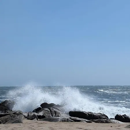 Da Mata Póvoa de Varzim