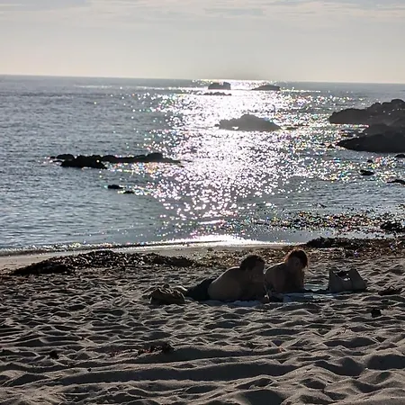 Da Mata Póvoa de Varzim