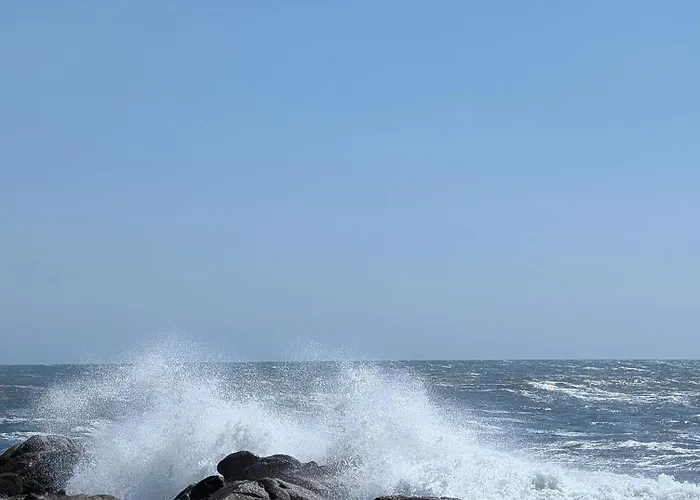 Da Mata Póvoa de Varzim