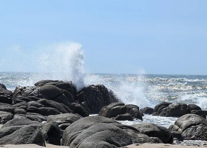 Da Mata * 波瓦－迪瓦尔津